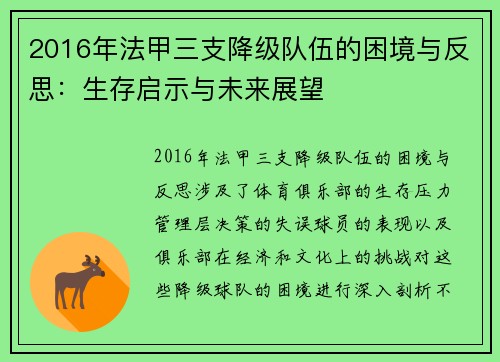 2016年法甲三支降级队伍的困境与反思：生存启示与未来展望