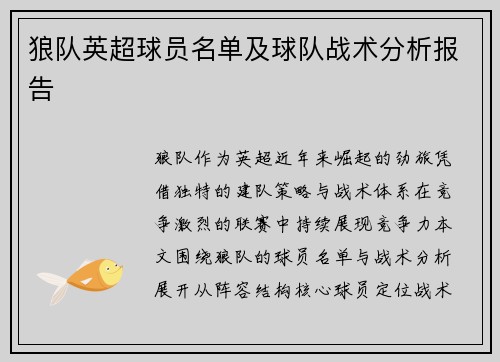 狼队英超球员名单及球队战术分析报告